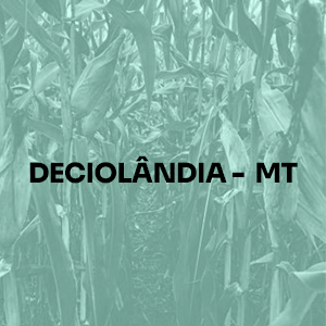 DECIOLANDIA