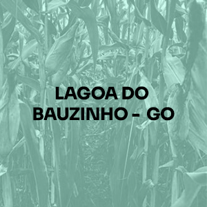 LAGOA-DO-BAUZINHO