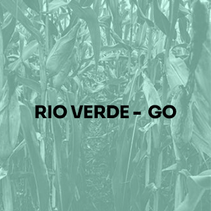 RIO-VERDE